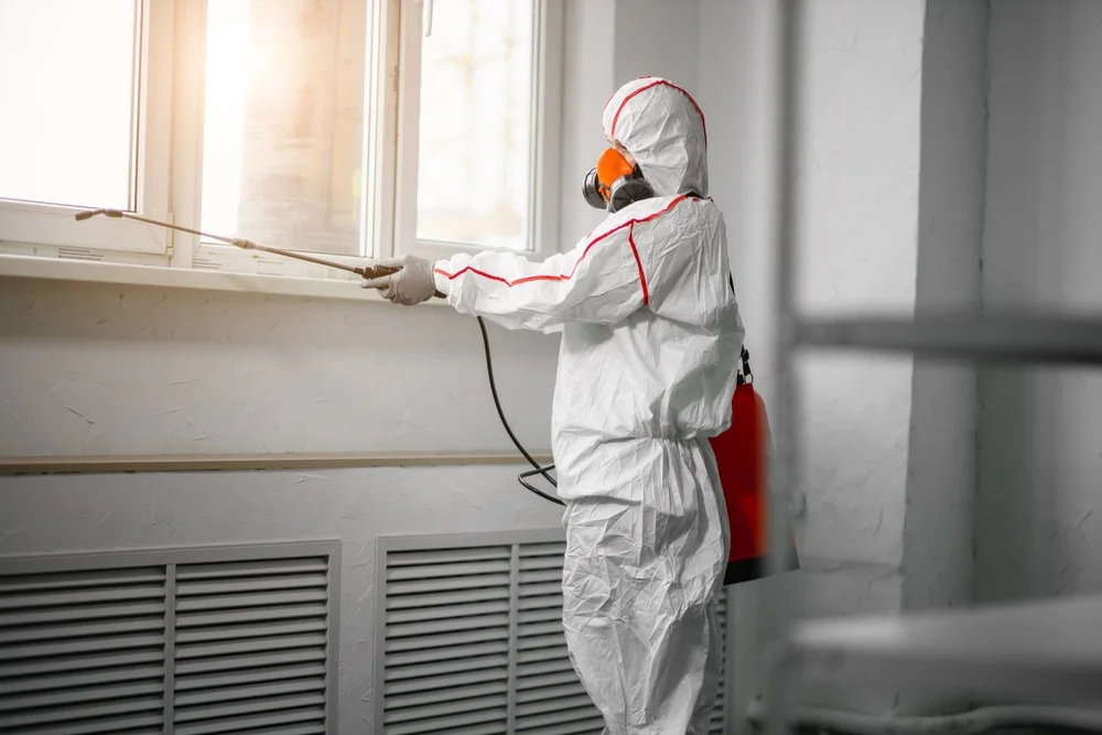 Professional mold remediation services in Picayune, MS